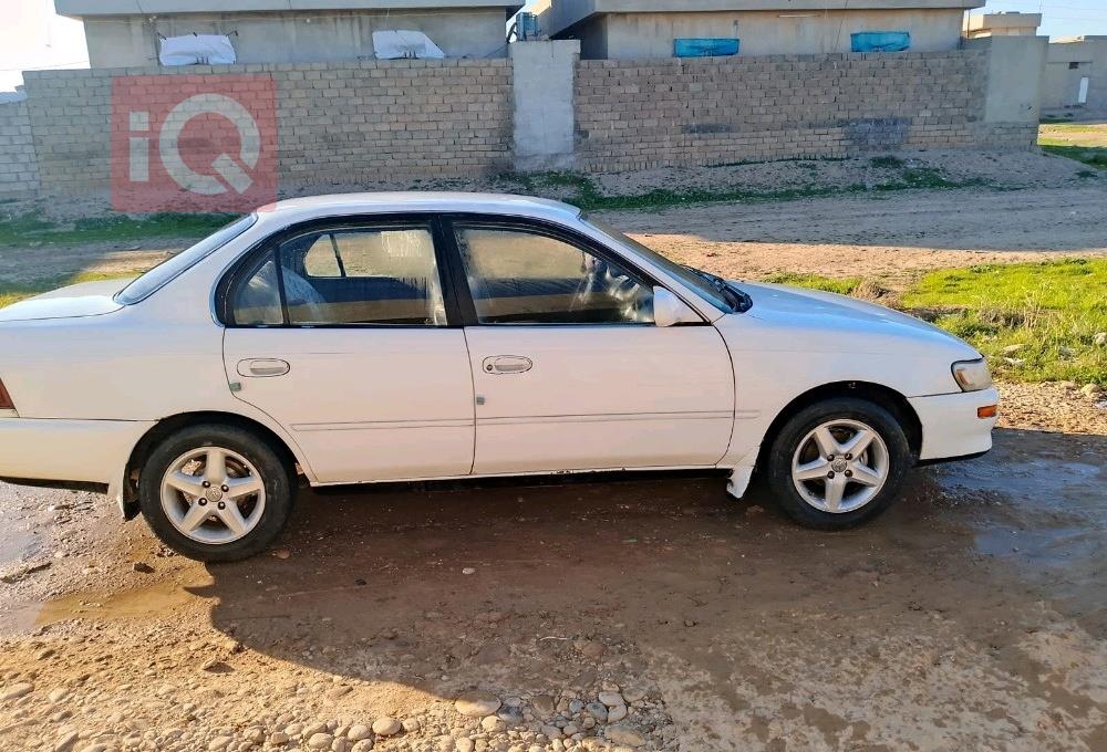 تويوتا كورولا